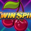 Twin Spin